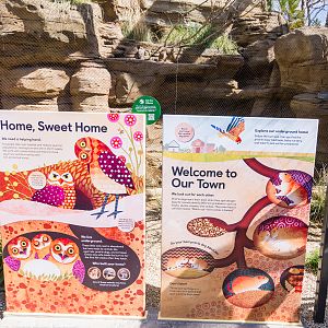 Wildlife Explorers Basecamp