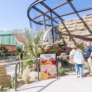 Wildlife Explorers Basecamp