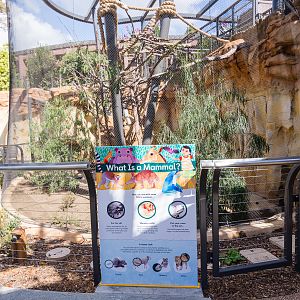 Wildlife Explorers Basecamp