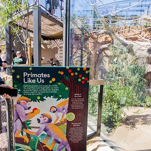 Wildlife Explorers Basecamp