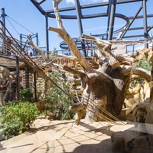 Wildlife Explorers Basecamp