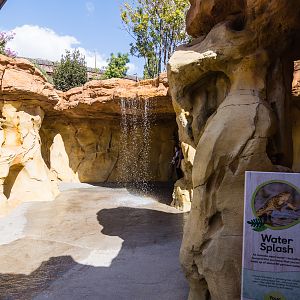 Wildlife Explorers Basecamp