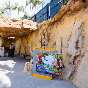 Wildlife Explorers Basecamp