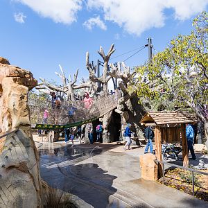 Wildlife Explorers Basecamp