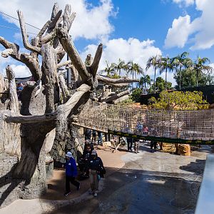 Wildlife Explorers Basecamp