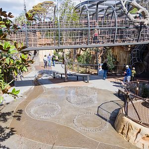 Wildlife Explorers Basecamp