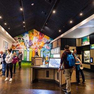 Wildlife Explorers Basecamp