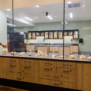 Wildlife Explorers Basecamp