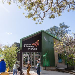 Wildlife Explorers Basecamp