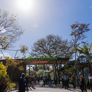 Wildlife Explorers Basecamp