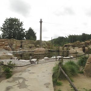 Penguin & Pelican aviary