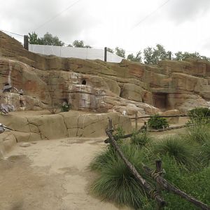 Penguin & Pelican aviary