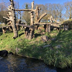 Andean Bear Enclosure