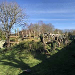 Western Lowland Gorilla Enclosure
