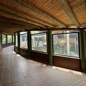 Former Koala House (Phascolarctos cinereus)