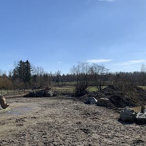 White Rhino/Red River Hog Exhibit