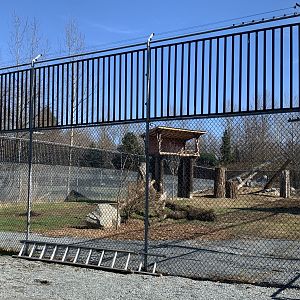 Snow Leopard Exhibit (new fencing and structures)