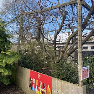 Aviary for Laughing kookaburra and European white stork 250222