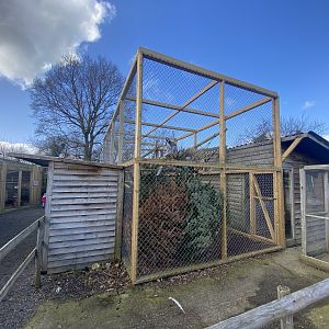 Ring-tailed lemur enclosure 250222