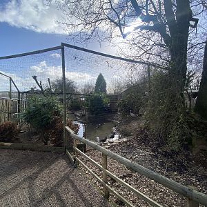 Large mixed aviary from other view 250222