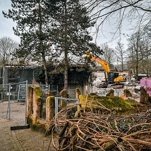 Destruction of the old monkey house