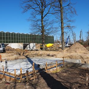 Construction update orangutan project, at ground level, 2022-03-08