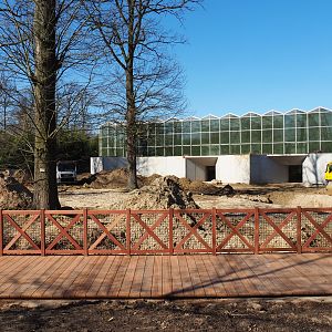 Construction update orangutan project, at ground level, 2022-03-08