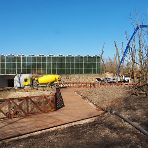 Construction update orangutan project, at ground level, 2022-03-08