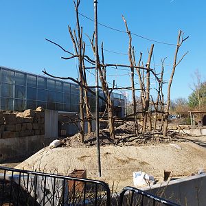 Construction update orangutan project, at ground level, 2022-03-08