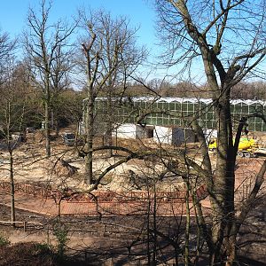 Construction update orangutan project, seen from the tree-top walk, 2022-03-08