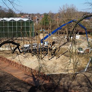 Construction update orangutan project, seen from the tree-top walk, 2022-03-08