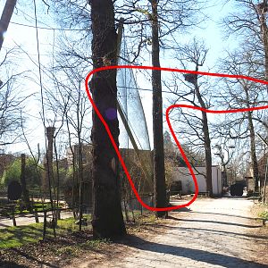 Storm damage to African waterfront aviary? - 2022-03-08