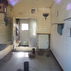 Tamarin indoor housing, emptied for cleaning and refurbishment, 2022-03-08