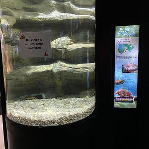 Puget Sound Exhibit