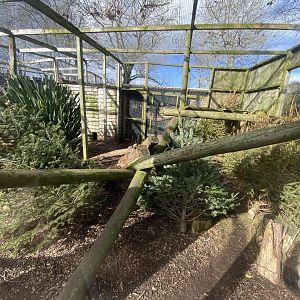 Fishing cat enclosure 250222
