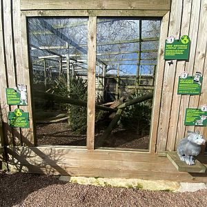 Fishing cat enclosure 250222