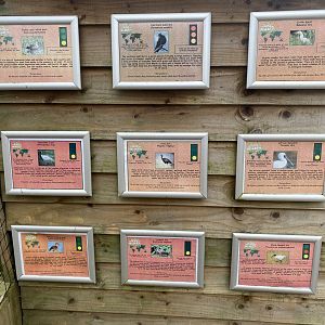 Large mixed aviary information boards 250222
