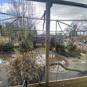 Waterfowl aviary 250222