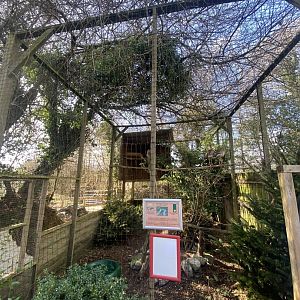 Red-legged seriema aviary 250222