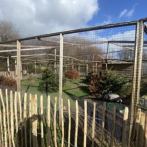 Eurasian crane enclosure 250222