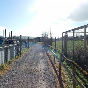 Walkway towards new building 250222