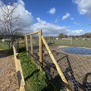 Enclosures for South American tapir and Patagonian mara 250222