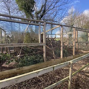 Tayra enclosure 250222