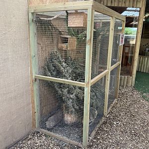 Finlayson's squirrel enclosure 250222