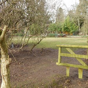Emu and wallaby exhibit 280222