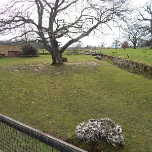 Giant tortoise exhibit 280222