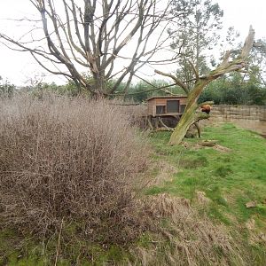 Red panda exhibit 280222