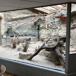 Gundi exhibit 280222