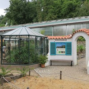 Glass Pavillon for the canary island ecosystem