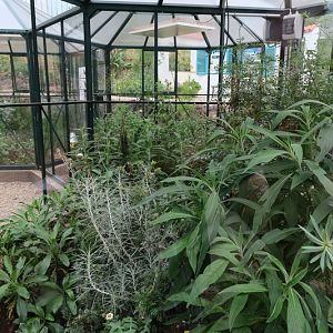 Glass Pavillon for the canary island ecosystem